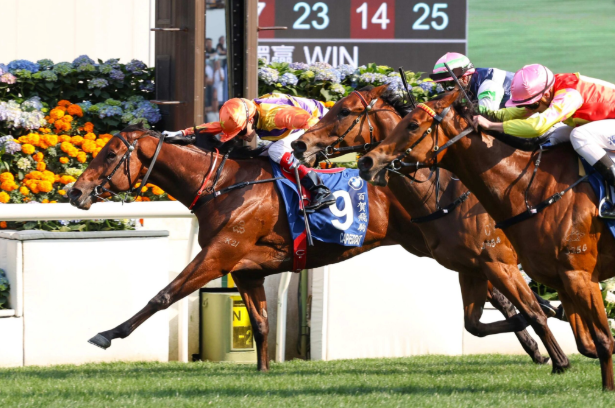 India Horse Race Card: Understanding Race Listings and Betting Insights