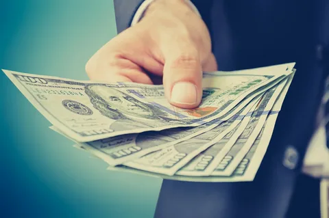 Purple tree funding for accountants