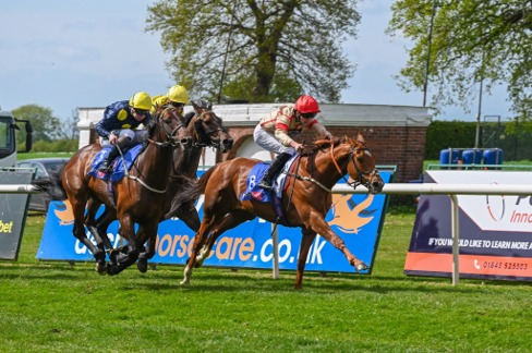 horse race